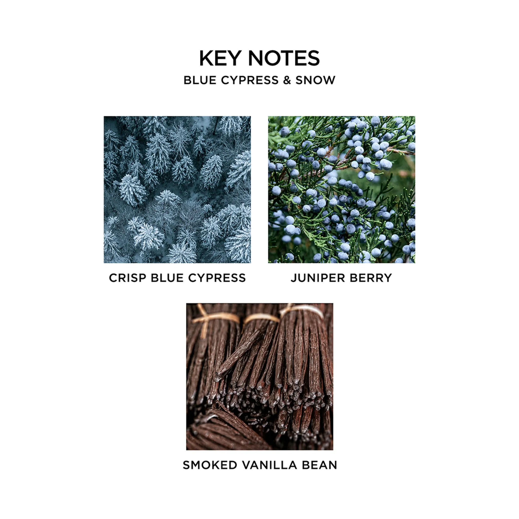 Blue Cypress and Snow Pura Refill (Limited Edition)