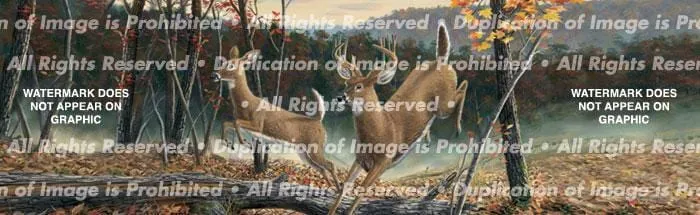 Higher Ground Rear Window Decal