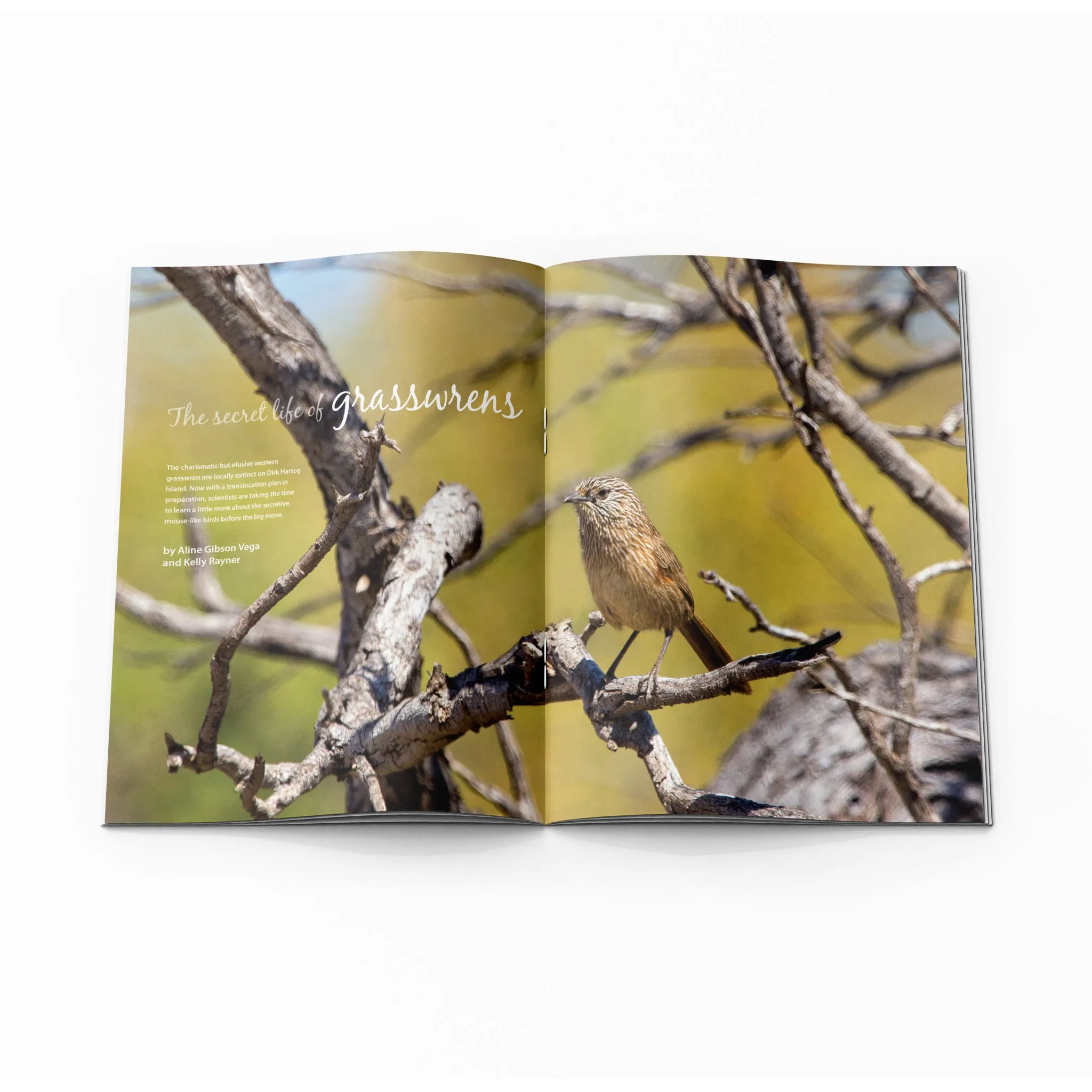 LANDSCOPE Vol 36/No 4 Winter 2021
