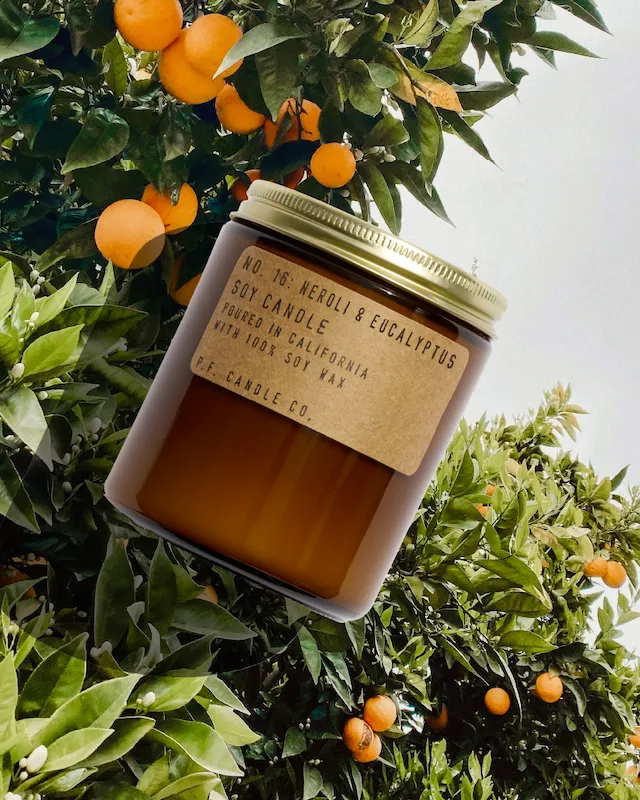 P.F. Candle Co. 7.2oz Standard Jar Candle - Neroli & Eucalyptus