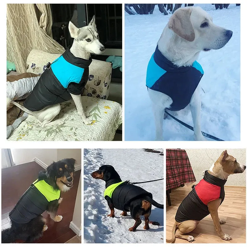 Winter Waterproof Pet Jacket for Dogs